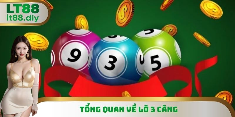 Tổng quan về lô 3 càng