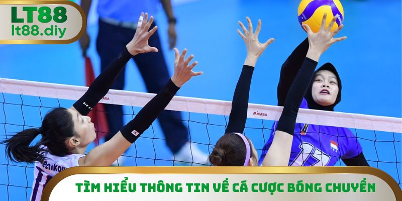 Cá cược bóng chuyền là bộ môn thi đấu đối kháng