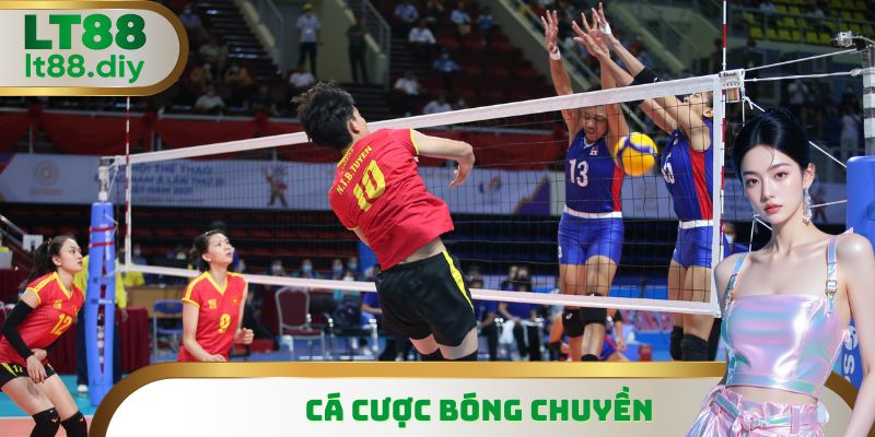 Cá Cược Bóng Chuyền