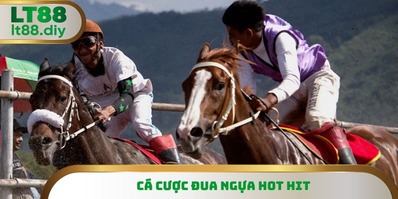 Cá cược đua ngựa hiện đang rất nổi tiếng trên diễn đàn