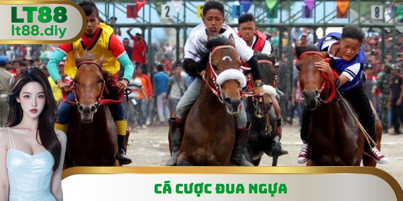 Cá Cược Đua Ngựa