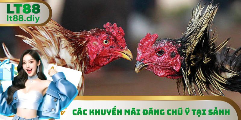 Các khuyến mãi đáng chú ý tại sảnh