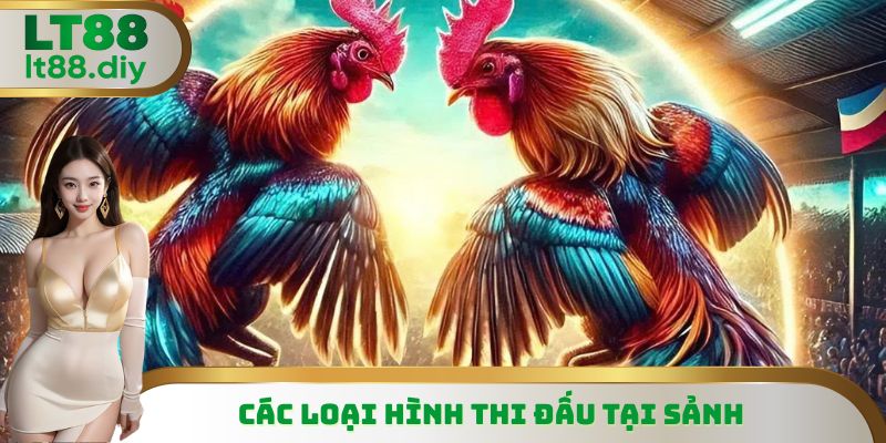 Các loại hình thi đấu tại sảnh