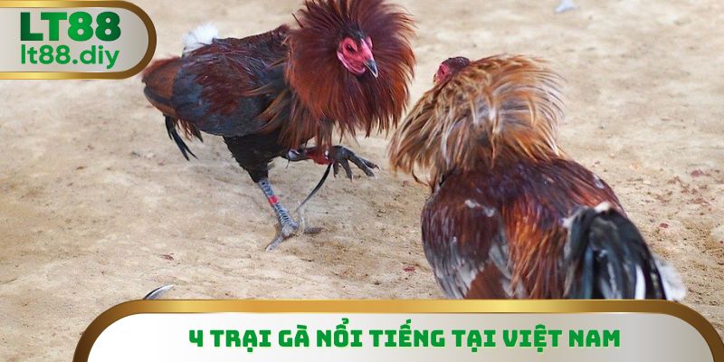 Chọi Cao Lãnh được người dân tứ xế đổ về theo dõi