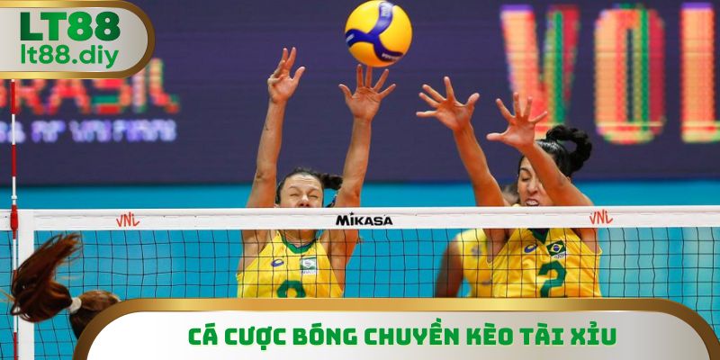 Chọn Tài Xỉu thì không cần quan tâm đến bên nào thắng
