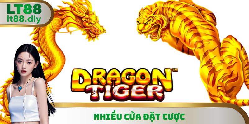 Các cửa cược chính và phụ với đặc điểm riêng