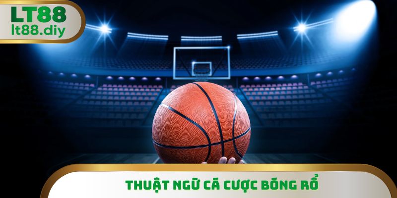 Lưu ý học thuộc các chỉ số thống kê