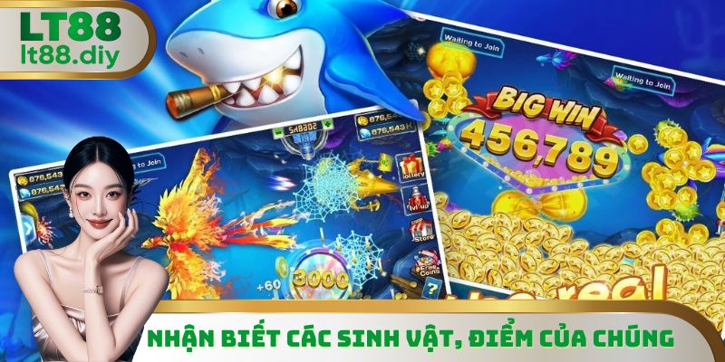 Nhận biết các sinh vật, điểm của chúng