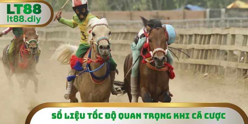 Số liệu tốc độ nói lên nhiều dữ kiện quan trọng