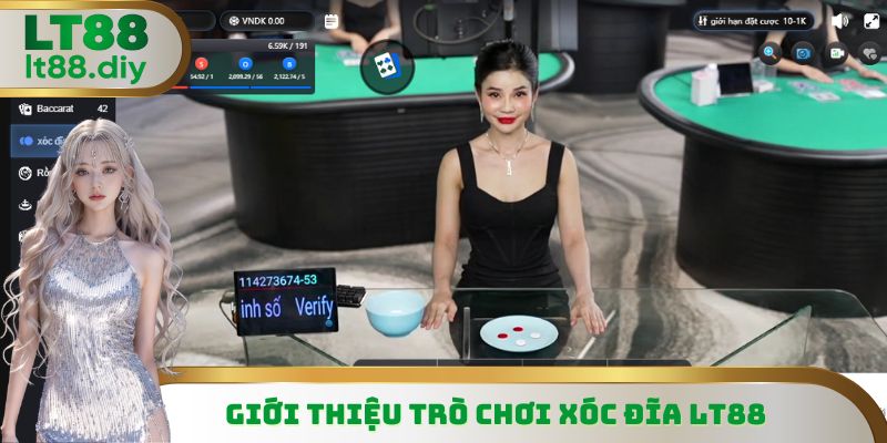 Xóc Đĩa LT88 là trò chơi trực tuyến hấp dẫn