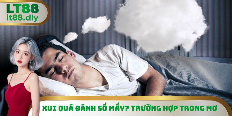 Xui quá đánh số mấy? Trường hợp trong mơ